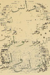 Page 11a