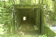 bunk4 copy