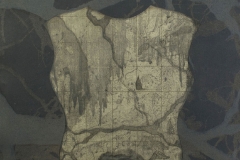 CatalogueV4_Page_01