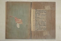 fig24