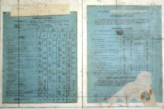 fig29