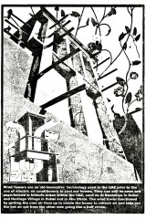 shamsa_Scans