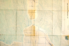 fig5b
