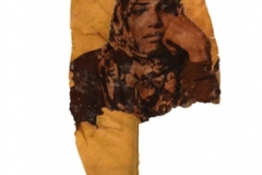 Alya Abdulhameed Mohamed Ahmed Rashed Al Hosani Digital Print Transfers to Wood and Leaves
