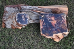 Alya Abdulhameed Mohamed Ahmed Rashed Al Hosani Digital Print Transfers to Wood and Leaves Stephanie